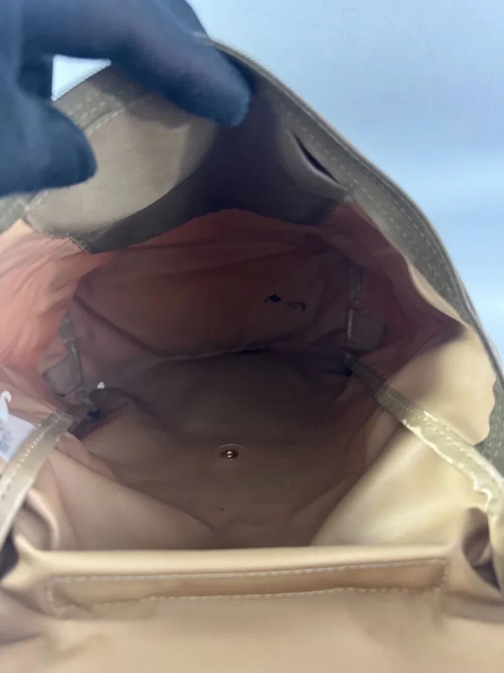 Longchamp Le Pliage Medium Backpack in Green